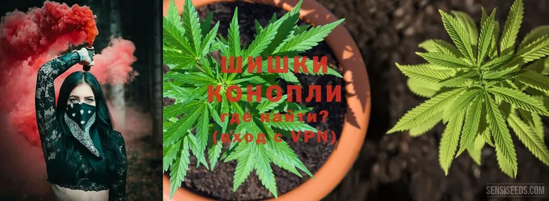 Канабис THC 21%  Пошехонье 